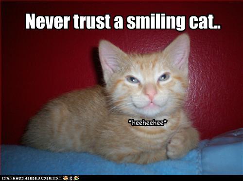 creepy smiling cat
